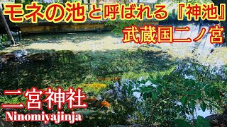 東京 アラハバキ 武蔵国二ノ宮 『二宮神社』 おしゃもじ様 【音声ガイド】