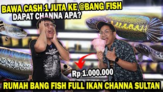 NEKAT!!...UANG 1 JUTA DAPAT CHANNA APA DI RUMAH @BANG FISH