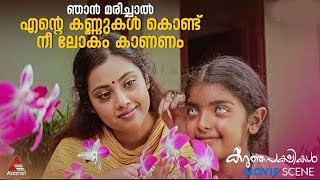 ഞാൻ മരിച്ചാൽ എന്റെ കണ്ണുകൾ കൊണ്ട് നീ ലോകം കാണണം