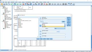 SPSS - Conjoint Analysis - Advanced Conjoint Analysis with Added Variables and Interactions