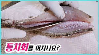 통치회를 들어보셨나요? 작다고 얕볼게 아닙니다.  민어새끼 먹어보구 '깜짝' 놀랐습니다~