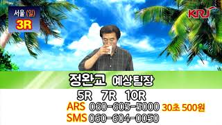 20180916 정완교의 싸이즈가 다른 방송 일요일 서울 경마예상방송