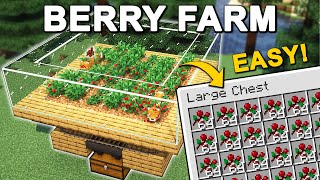The BEST Sweet Berry Farm in Minecraft 1.20 (Tutorial)