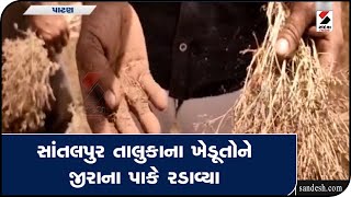 PATAN: સાંતલપુર તાલુકાના ખેડૂતોને જીરાના પાકે રડાવ્યા || Sandesh News TV | Cyclone Tauktae