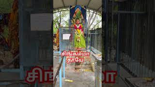 சிங்கம்மாள் தாயே #tamil  #shorts