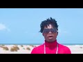 MozzeOfficial _Lazima Abebwe (official visualizer)