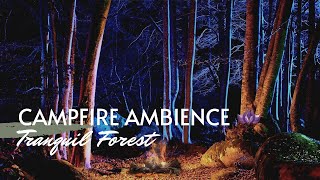 Experience Campfire Ambience | Tranquil Forest • Relaxing Stress Management