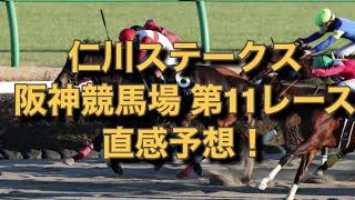 仁川ステークス 阪神競馬場  第11レース 直感予想！