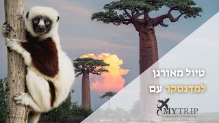 טיול למדגסקר עם מיי טריפ | טיול בכוכב אחר