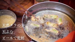 天然たらの芽の天ぷら　春の味覚　Tempura 【いただきます。＃８】