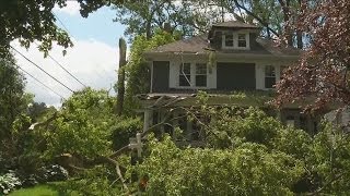 Storms leave behind uprooted trees, flooding