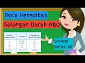 Golongan Darah Manusia Kelas 12 | Materi Biologi Pola Hereditas