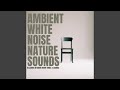 Interior Room, Echoing Footsteps and Chatter Ambience