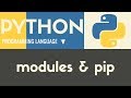 Modules & Pip | Python | Tutorial 30