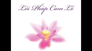 LỜI PHÁP CAM LỒ 201 - 317