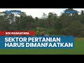 Sektor Pertanian dan Perikanan Harus Dimanfaatkan Pemkab PPU Sambut IKN Nusantara