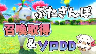 【FF14】召喚取得\u0026ソロDD！ぶたさんぽ！【男性/新人Vtuber】