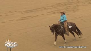 Shesa Smokin Cat ridden by Susan Schwabacher Modic  - 2017 NRCHA Stallion Stakes (NP Hackamore)