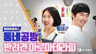 [안산] 동네공방 '반려견아로마테라피' / 오늘더아로마