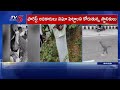 చిరుత దాడి.. leopard attacks bike rider on road tv5 news