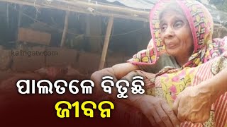 Three Families In Salepur  Living Under Acute Poverty In Polythene Roofed Hut || KalingaTV