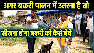 Goat farming में सफल होना है तो सीखिए बकरियों को कैसे  बेचे ?  सुधीर सर् ने समझाया तरीका  #बकरी_पालन