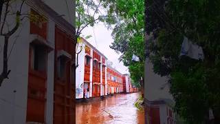 বৃষ্টি ভেজা প্রাণের প্রিয় ক্যাম্পাস❤️❤️#shorts #campus #nature #naturelovers #rain #youtubeshorts