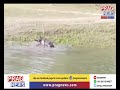 rhino escapes from kaziranga come strudding towards gohpur l people come out to send him back