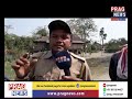 rhino escapes from kaziranga come strudding towards gohpur l people come out to send him back