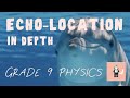 Get Full Marks on the Hardest Echo Location - in Depth GCSE Physics waves