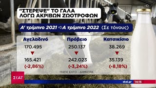 «Στεγνώνει» από γάλα η αγορά – Μειωμένη παραγωγή λόγω ακριβών ζωοτροφών  |  Μεσημβρινό Δελτίο