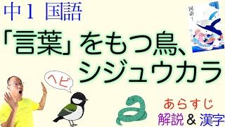 【大発見】「言葉」をもつ鳥、シジュウカラ【中１国語】教科書あらすじ\u0026解説〈鈴木俊貴　著〉