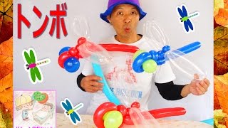 とんぼ 👓 トンボ 🌾 蜻蛉 👓 How to make Dragonfly Balloon 🌾🌰トンボの作り方 🍂 【 バルーンアートかねさん】【Balloon Art Kanesan】