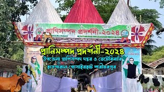 Pranisompod Seba Soptaho O Prodorshoni-2024 || প্রাণিসম্পদ সেবা সপ্তাহ ও প্রদর্শনী-২০২৪|| #LDDP #DLS