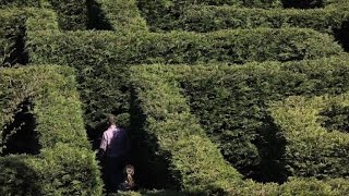 Visitors explore massive outdoor maze in northern Spain