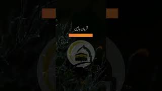 Rasool e Pak Ka Tareeqa _ Ajmal Raza Qadri New Whatsapp Status _ Islamic Bayan _ #shorts #muhammad