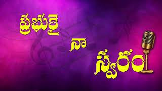 Ninu Sthuthiyinchedham Deva || నిను స్తుతియించేదం దేవా || Telugu Christian Song || Babu Rao Garu