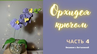 Орхидея часть 4