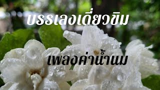 บรรเลงเดี่ยวขิม | เพลงค่าน้ำนม | เนื่องในวันแม่แห่งชาติ ปี 2564 | บรรเลงโดย เรือนฝ้ายคำ