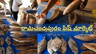 Ramachandrapuram fish market || konaseema || East Godavari||pasalapudi