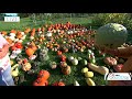 celebrate fall at the arboretum with 300 varieties of squash fox 9 good day