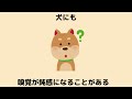 【犬】面白い犬の雑学④【いぬ】