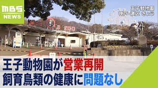 王子動物園が営業再開　野生カラスの死骸から鳥インフル　飼育鳥類の健康に問題なし（2023年2月17日）