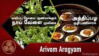 வலிப்பு நோயை  குணமாக்கும் நாய் வேளை மூலிகை | அத்திப்பழ  குழி பணியாரம் | Arivom Arogyam