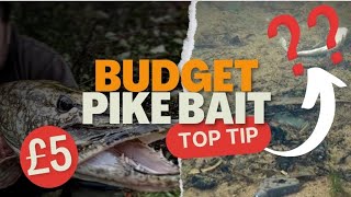 BUDGET PIKE FISHING DEADBAITS.....