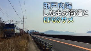 瀬戸内海をバックに走るEF66 112 貨物列車　山陽本線　尾道〜三原