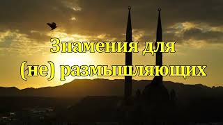 ЗНАМЕНИЯ ДЛЯ (НЕ) РАЗМЫШЛЯЮЩИХ || тизер нового проекта #ислам #наука #открытия # человек