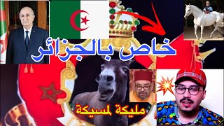 مول الكاسكيطة المهداوي العياشة اين الملك نريد توضيح من الجزائرين 🇩🇿