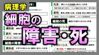 【病理学】細胞の障害・細胞の死（ネクローシス・アポトーシス）