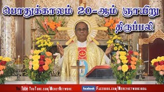 LIVE - 16-08-2020 | பொதுக்காலம் 20 -ஆம் ஞாயிறு திருப்பலி | St.Andrew's Church, Reddiyarpalayam.